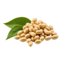 AI generated Soya beans isolated png