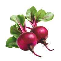AI generated Beetroot with leaves isolated png