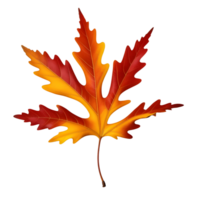 AI generated Red autumn oak leaf isolated png