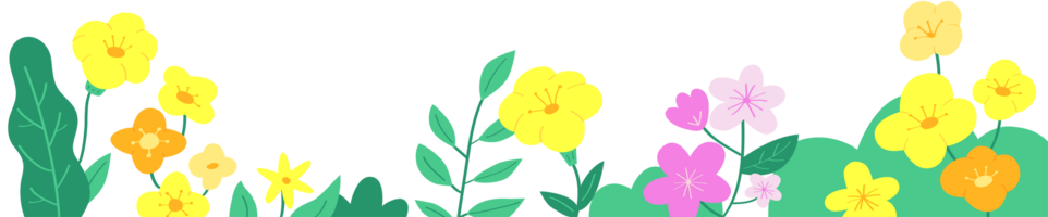 frame of flower png