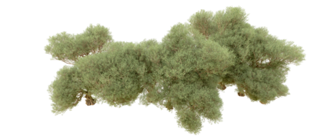 Green forest isolated on background. 3d rendering - illustration png