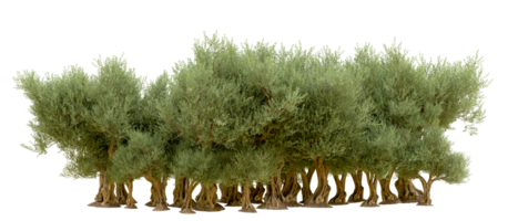 vert forêt isolé sur Contexte. 3d le rendu - illustration png