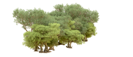 Green forest isolated on background. 3d rendering - illustration png