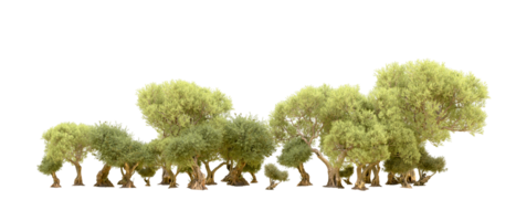 Green forest isolated on background. 3d rendering - illustration png