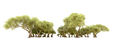 Green forest isolated on background. 3d rendering - illustration png