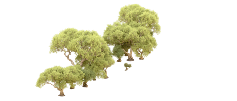 Green forest isolated on background. 3d rendering - illustration png