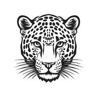 leopardo cara vector arte, iconos, y gráficos