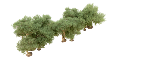 Green forest isolated on background. 3d rendering - illustration png