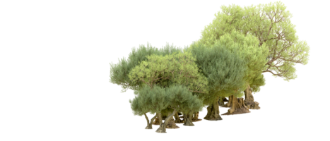 Grün Wald isoliert auf Hintergrund. 3d Rendern - - Illustration png