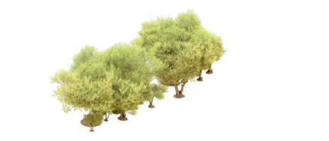 Green forest isolated on background. 3d rendering - illustration png