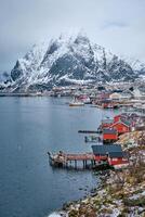 Reine fishing village, Norway photo