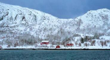 Red rorbu houses in Norway in winter photo