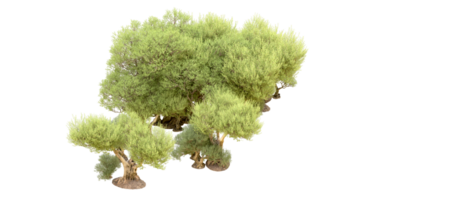 groen Woud geïsoleerd Aan achtergrond. 3d renderen - illustratie png