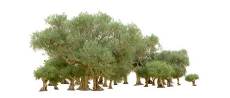 Green forest isolated on background. 3d rendering - illustration png