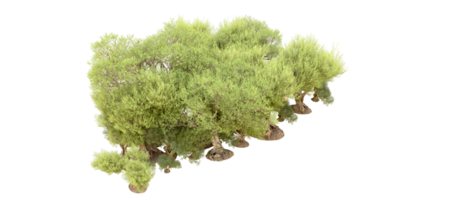 grön skog isolerat på bakgrund. 3d tolkning - illustration png