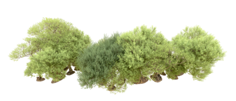 vert forêt isolé sur Contexte. 3d le rendu - illustration png