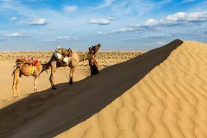 Cameleer camel driver with camels in dunes of Thar desert photo