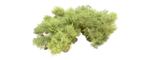 Grün Wald isoliert auf Hintergrund. 3d Rendern - - Illustration png