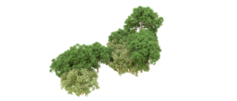 Grün Wald isoliert auf Hintergrund. 3d Rendern - - Illustration png