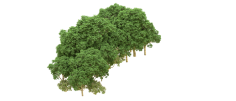 groen Woud geïsoleerd Aan achtergrond. 3d renderen - illustratie png