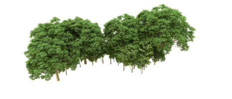 Green forest isolated on background. 3d rendering - illustration png