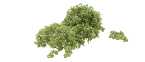 Green forest isolated on background. 3d rendering - illustration png