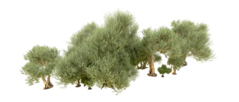 groen Woud geïsoleerd Aan achtergrond. 3d renderen - illustratie png