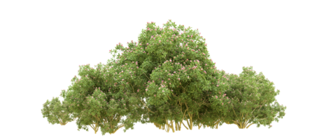 vert forêt isolé sur Contexte. 3d le rendu - illustration png