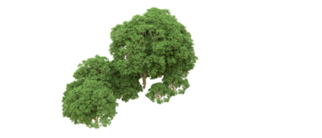 Grün Wald isoliert auf Hintergrund. 3d Rendern - - Illustration png