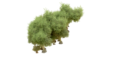 groen Woud geïsoleerd Aan achtergrond. 3d renderen - illustratie png