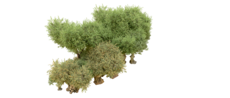 Green forest isolated on background. 3d rendering - illustration png
