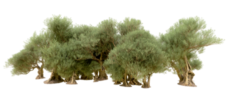 vert forêt isolé sur Contexte. 3d le rendu - illustration png