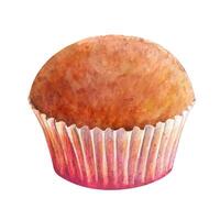 Cupcake muffin watercolor drawing. Cake bakery tasty dessert in paper illustration. Birthday celebration pastry aquarelle picture isolated on white background vector