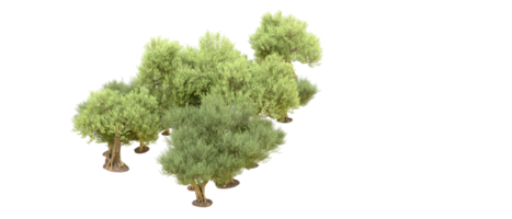 vert forêt isolé sur Contexte. 3d le rendu - illustration png