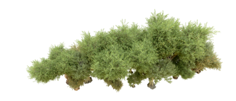 groen Woud geïsoleerd Aan achtergrond. 3d renderen - illustratie png