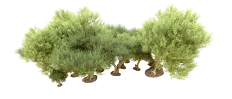 Green forest isolated on background. 3d rendering - illustration png