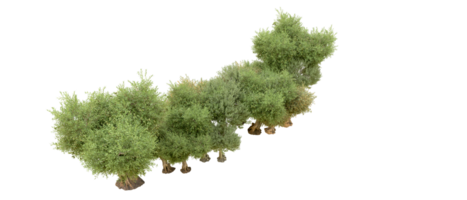 groen Woud geïsoleerd Aan achtergrond. 3d renderen - illustratie png