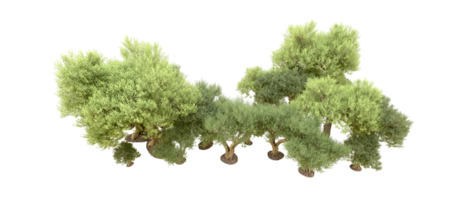 vert forêt isolé sur Contexte. 3d le rendu - illustration png