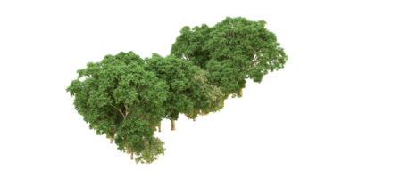 grön skog isolerat på bakgrund. 3d tolkning - illustration png