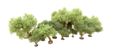 vert forêt isolé sur Contexte. 3d le rendu - illustration png