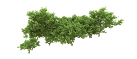 Green forest isolated on background. 3d rendering - illustration png