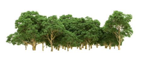 Green forest isolated on background. 3d rendering - illustration png