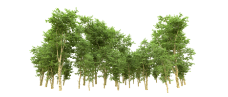 Green forest isolated on background. 3d rendering - illustration png