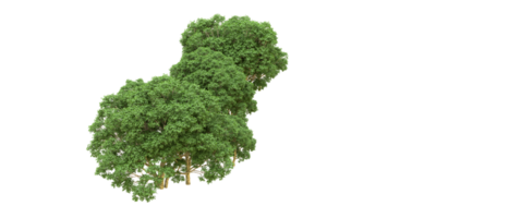 grön skog isolerat på bakgrund. 3d tolkning - illustration png