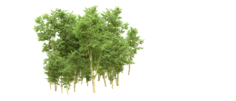 Green forest isolated on background. 3d rendering - illustration png