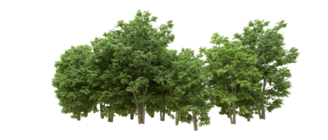 Green forest isolated on background. 3d rendering - illustration png