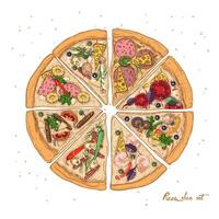 conjunto de rebanadas de diferente Pizza tipos con varios ingredientes aislado en blanco antecedentes - pepperoni, hawaiano, mariscos, vegetariano. vector ilustración para restaurante o pizzería menú.