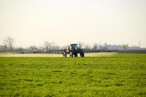 Tractor on the sunset background. Tractor with high wheels is making fertilizer on young wheat. The use of finely dispersed spray chemicals photo