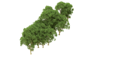 Grün Wald isoliert auf Hintergrund. 3d Rendern - - Illustration png