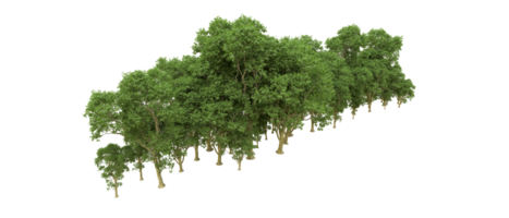 Green forest isolated on background. 3d rendering - illustration png